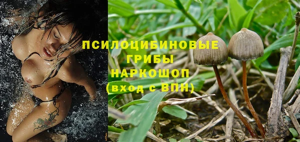 первитин Арсеньев