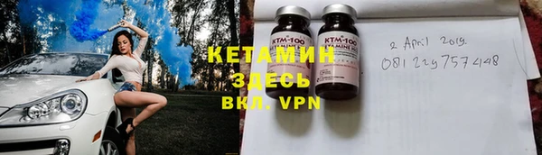 прущие грибы Чегем