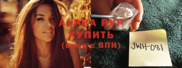 spice Аркадак