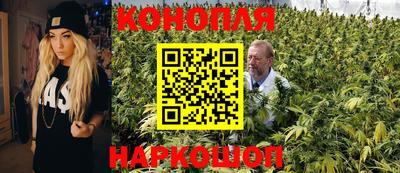 прущий лед Бийск