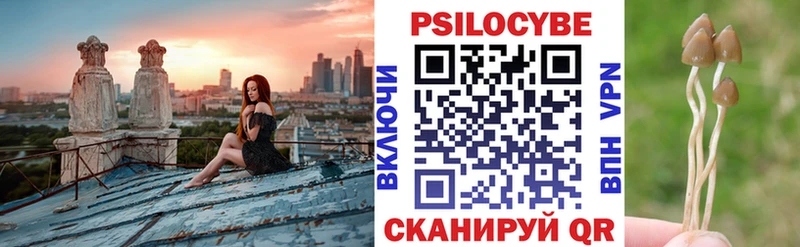 Псилоцибиновые грибы Magic Shrooms  купить  цена  Волгоград 