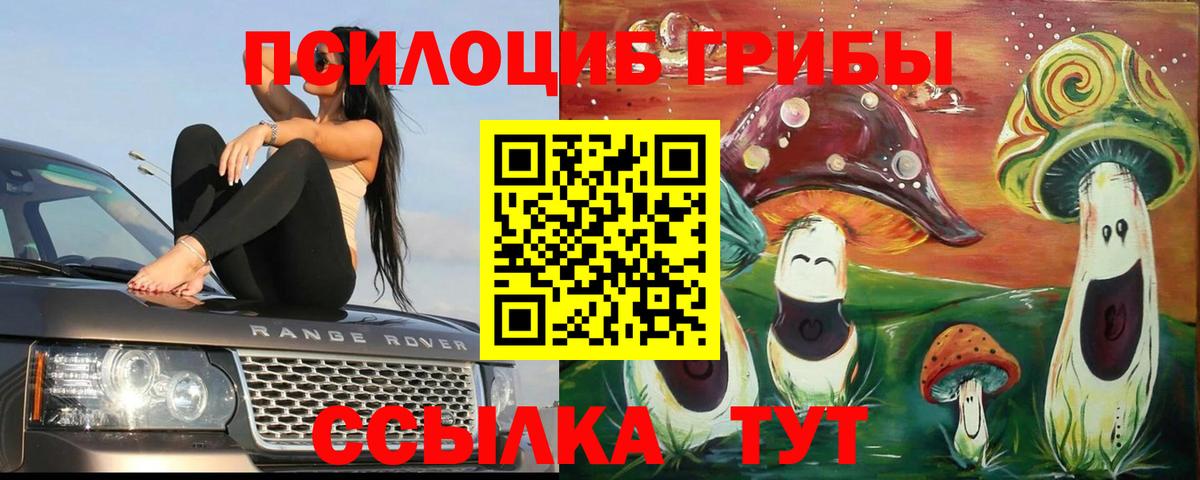 Псилоцибиновые грибы GOLDEN TEACHER  Псилоцибиновые грибы ЛСД  Вход с VPN  Волгоград 