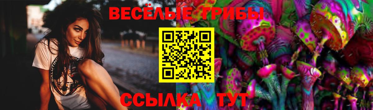 Псилоцибиновые грибы Magic Shrooms Волгоград