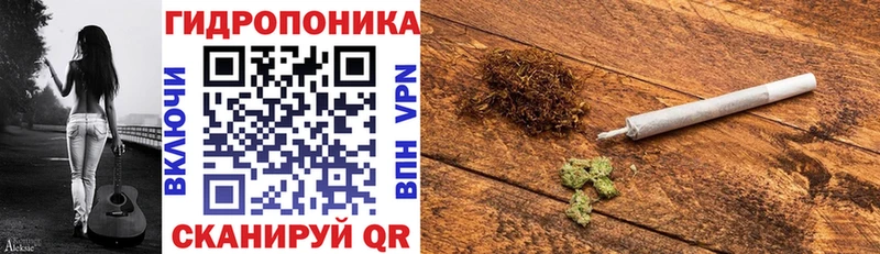 hydra зеркало  Волгоград  Шишки марихуана White Widow 